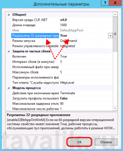 publikaciya_bd_na_web_server_IIS_13