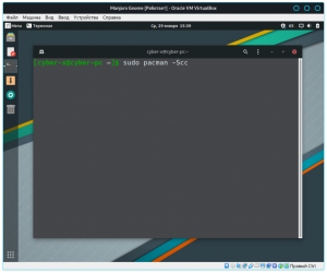Manjaro pacman 16