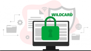 Установка на Exchange 2016-2019 wildcard сертификат