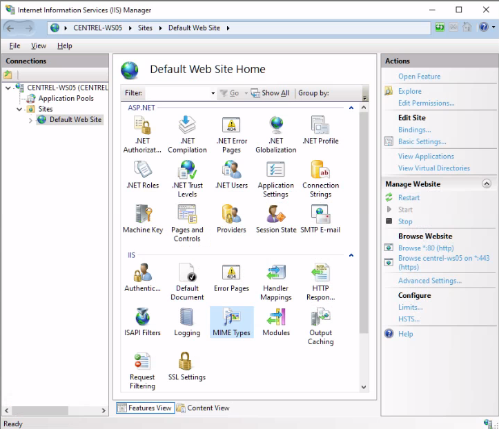 IIS Manager: раздел MIME Types, список зарегистрированных типов файлов
